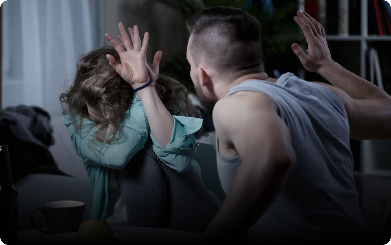 Domestic Violence Allegations