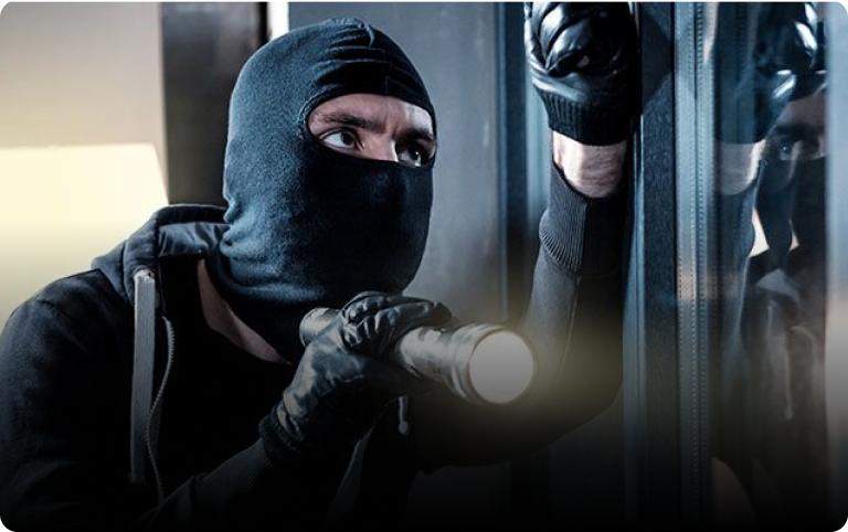Robbery and Armed Offenses