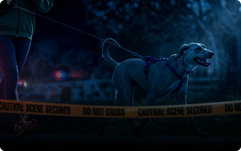Leash Law Violations